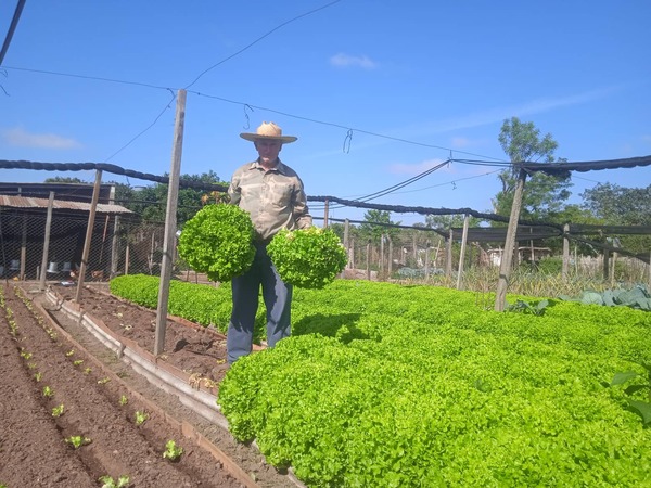 Una década produciendo gran variedad de rubro hortícola - Noticiero Paraguay