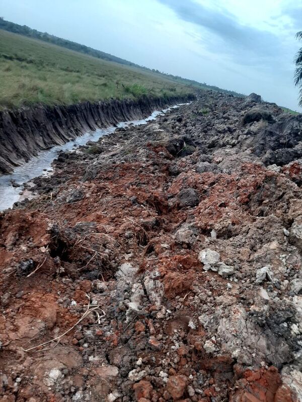 Fiscalía interviene grave daño contra el medioambiente en Canindeyú - Nacionales - ABC Color