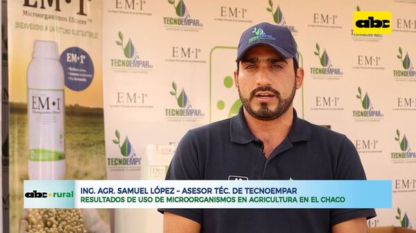 Resultados de uso de microorganismos en agricultura en el Chaco - ABC Rural - ABC Color