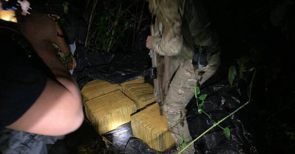 La Nación / Encarnación: incautan 158 kilos de marihuana en la ribera del río Paraná