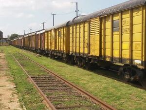 En días se concreta primer envío de arroz a Argentina a través del tren - Nacionales - ABC Color