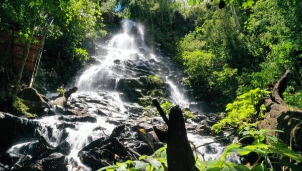 Un tesoro para los extranjeros: El turismo de naturaleza quiere un lugar en circuitos regionales