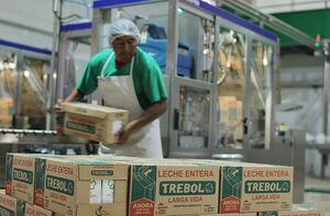 Cooperativa Chortitzer: ejemplo de crecimiento