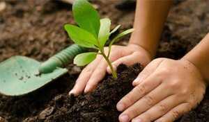 Se lanzó oficialmente la 4ta edición del concurso “El Árbol – Medio Ambiente”