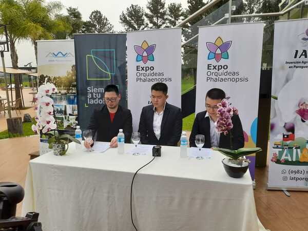 Expo Orquídeas Phalaenopsis desde este viernes en Encarnación