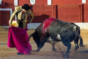 El Gobierno español pide a la Fiscalía que prohíba un polémico torneo taurino - Mundo - ABC Color