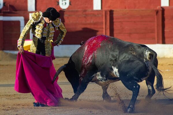 El Gobierno español pide a la Fiscalía que prohíba un polémico torneo taurino - Mundo - ABC Color