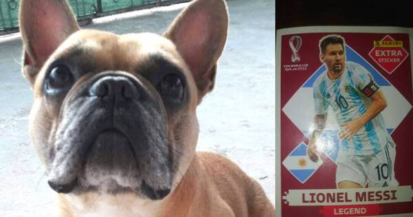 La Nación / Para encontrar a un perro, niño ofrece como recompensa la figurita de Messi