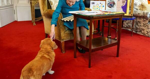 La Nación / La reina y sus corgis