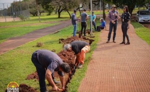 Inician cambio de luminarias en espacios públicos de CDE