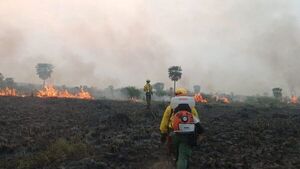 Incendio de grandes proporciones en la ruta Luque-San Ber