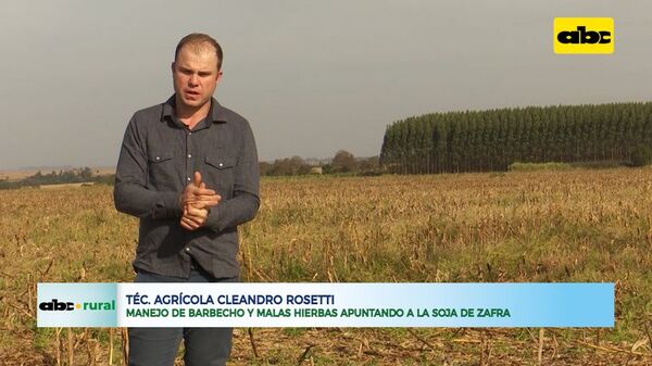 Manejo de barbecho y malas hierbas apuntando a la soja de zafra - ABC Rural - ABC Color