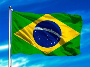 Covid: Brasil registra 85 muertes en 24 horas