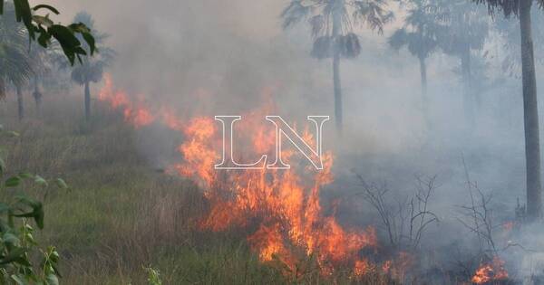 La Nación / Reportan incendio de pastizal de gran magnitud en ruta Luque – San Bernardino