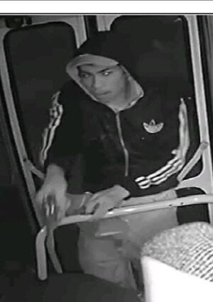 Video: en 30 segundos ladrón robó a pasajeros de un bus en Asunción - Policiales - ABC Color