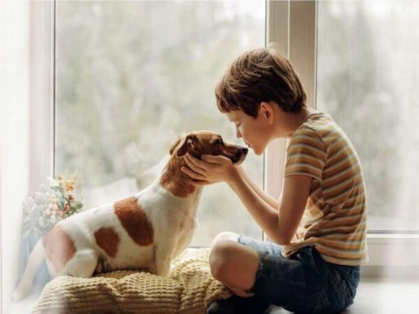 Una nueva mascota en el hogar, consejos de higiene para recibirla - Mascotas - ABC Color
