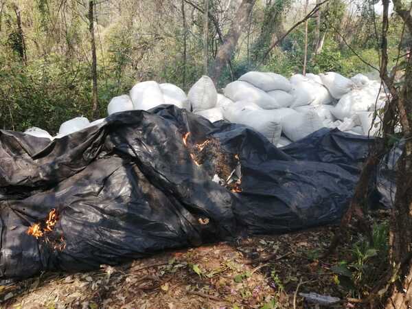 Diario HOY | Asestan golpe de más de 19 millones de dólares a narcos