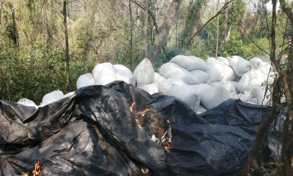 Golpe de más de 19 millones de dólares a narcos - OviedoPress