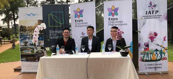 Expo Orquídeas Phalaenopsis desde este viernes en Encarnación