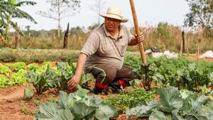 Reafirman el rol de la agricultura familiar en América Latina y el Caribe | Agronegocios | 5Días