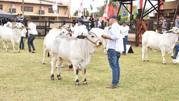La ganadería se destacó con calidad en la Expo Norte 2022 | Agronegocios | 5Días