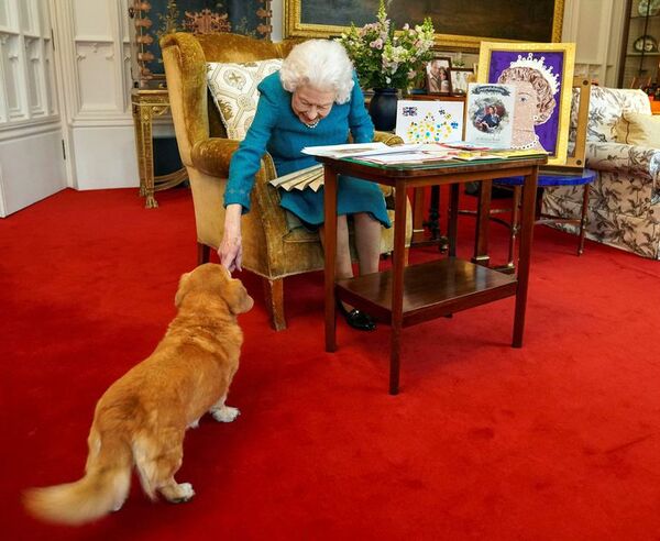 Los leales corgis de la reina Isabel II - Mascotas - ABC Color