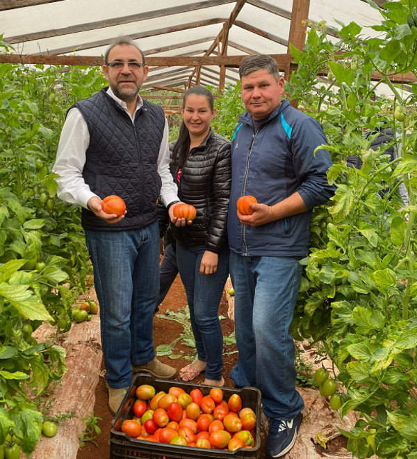 Autoridades del CAH visitan producción hortícola en zona de Capitán Miranda, Itapúa - .::Agencia IP::.