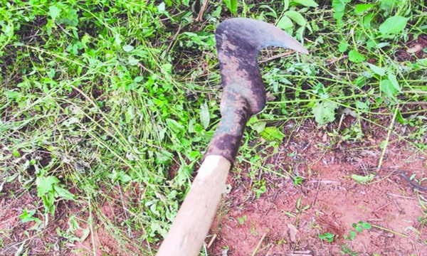 Curuguaty: Un joven asesinó a su padrastro con una foisa - OviedoPress