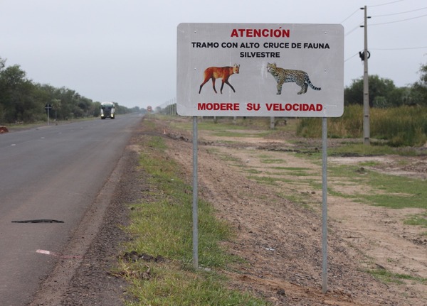 Diario HOY | Señalizan zonas sensibles en la ruta PY05 para evitar el atropello de animales