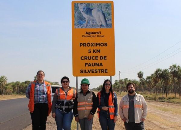 Identificaron zonas sensibles para evitar atropello de animales en la ruta PY05