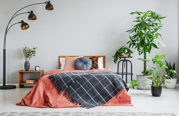 Las mejores plantas de interior para el dormitorio