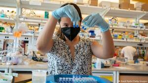Hallan anticuerpo que podría combatir todas las cepas del coronavirus
