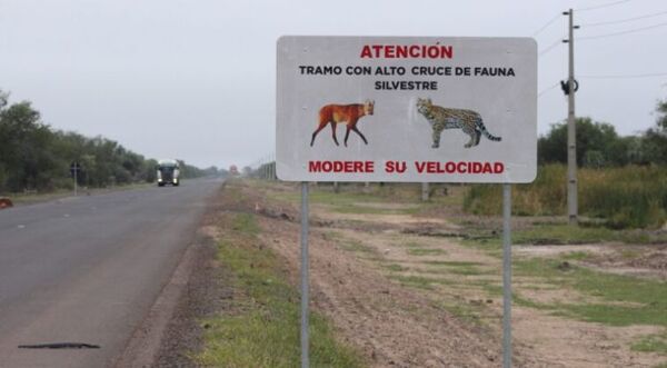 Señalizan zonas sensibles en la ruta PY05 para evitar el atropello de animales