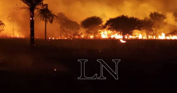 La Nación / El 85% de los incendios es provocado de forma intencional, afirman