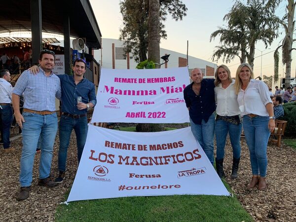 Los Magníficos ofrecen 380 toros reproductores seleccionados, mañana domingo