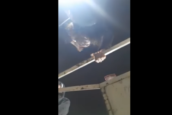 Diario HOY | Tres heridos reportados tras accidente con rueda gigante en Ayolas