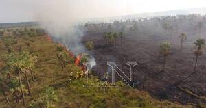 La Nación / Infona suspendió permisos de quema para aplacar incendios forestales