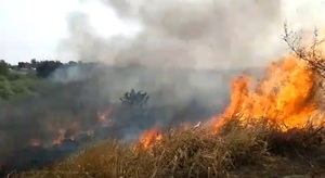 Diario HOY | Volvieron los incendios en la Costanera de Asunción