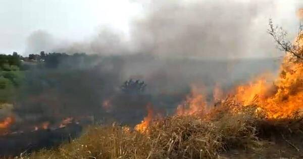 La Nación / Reportan incendio de pastizal en la Costanera Norte por segundo día consecutivo
