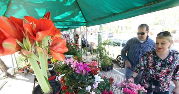 La Nación / Realizarán la primera competencia paraguaya de arte floral