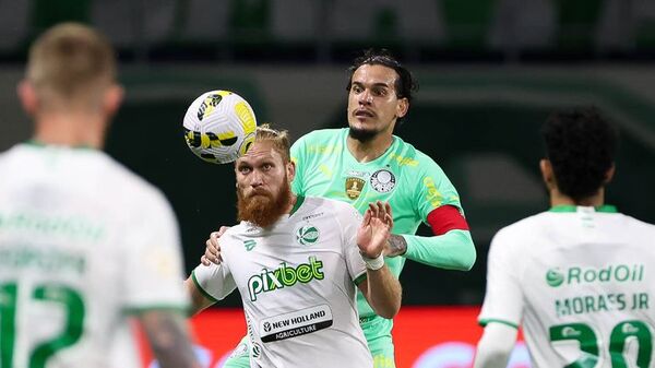 Palmeiras saca ocho puntos de ventaja en el Brasileirão tras empate de Flamengo - Fútbol - ABC Color