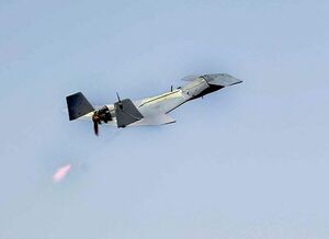 Irán afirma que ha desarrollado un “dron suicida” que puede alcanzar Israel - Mundo - ABC Color