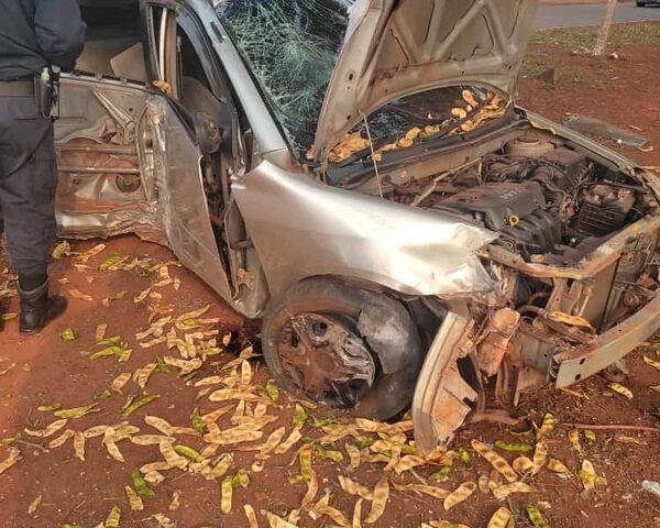 Automóvil se estrella contra un árbol y sus ocupantes huyen antes que lleguen policías – Diario TNPRESS