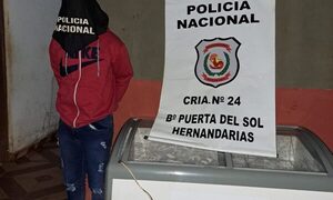 Detienen a un joven por hurto de un congelador en Hernandarias – Diario TNPRESS