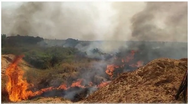 Incendio arrasó con varias hectáreas en zona de la Costanera Norte | 1000 Noticias