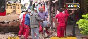 Despeje total de contenedores sobre Pettirossi - C9N
