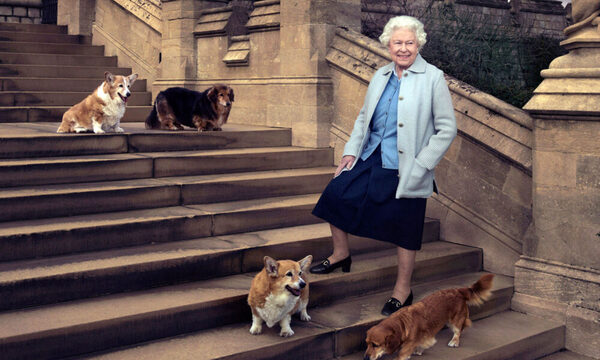 El futuro de los perros corgis de Isabel II