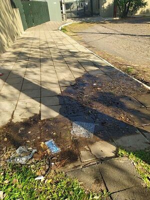 Medidor de la Essap pierde agua - Crónicas Ciudadanas - ABC Color