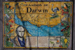 190 años del paso de Darwin por Uruguay - Viajes - ABC Color