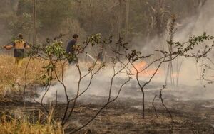 Infona suspende autorización de permisos de quema por condiciones de sequía en todo el país
